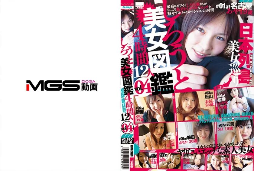 しろうと美女図鑑 vol.4 12人 4時間