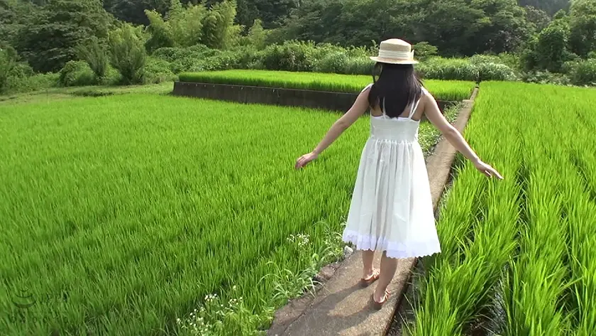 夏の田舎 あべみかこ