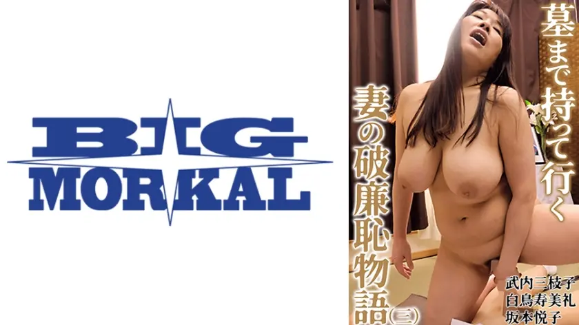 墓まで持って行く妻の破廉恥物語(三)