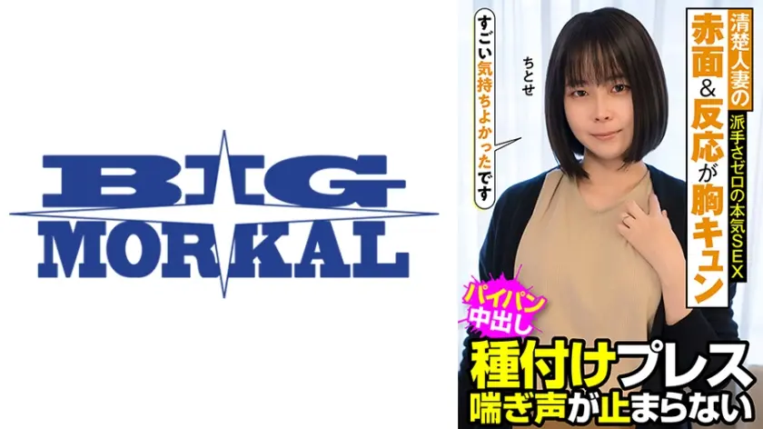 清楚人妻の赤面&反応が胸キュン 派手さゼロの本気SEX 種付けプレス 喘ぎ声が止まらない ちとせ 工藤ちとせ