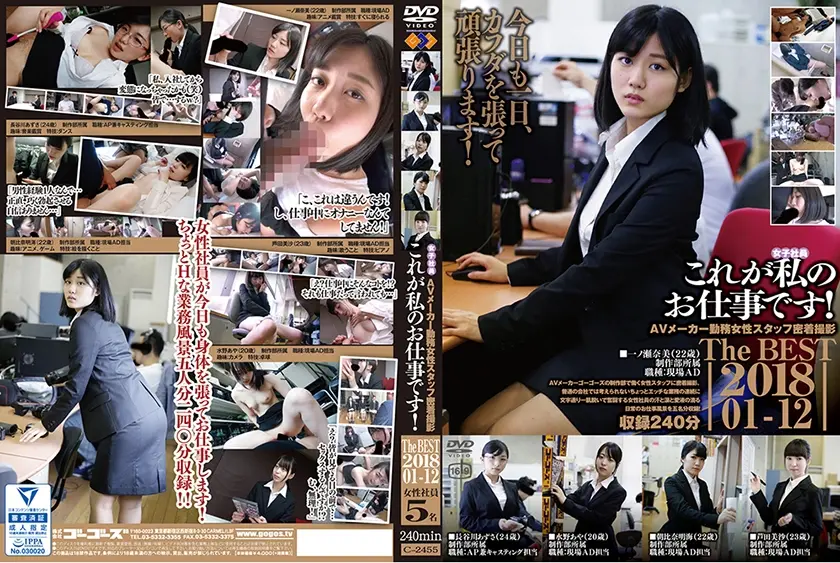 これが私のお仕事です！ The BEST 2018.01-2018.12