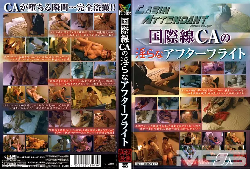 国際線CAの淫らなアフターフライト