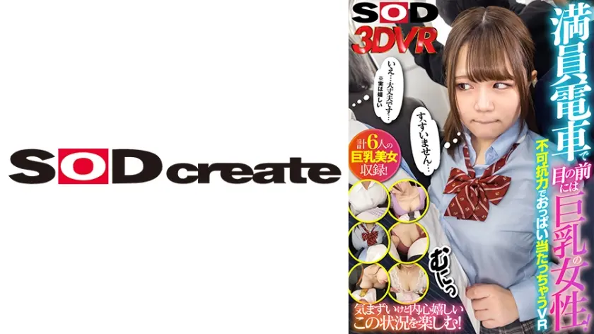 【VR】満員電車で目の前には巨乳の女性！不可抗力でおっぱい当たっちゃうVR