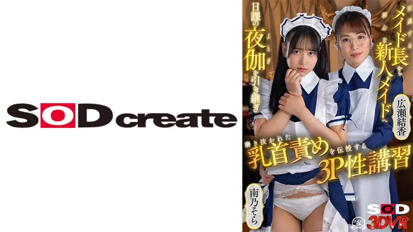 【VR】引退するメイド長から初心な新人メイドへ 日課の夜伽を引き継ぎ 磨き抜かれた乳首責めを伝授する3P性講習 広瀬結香 南乃そら