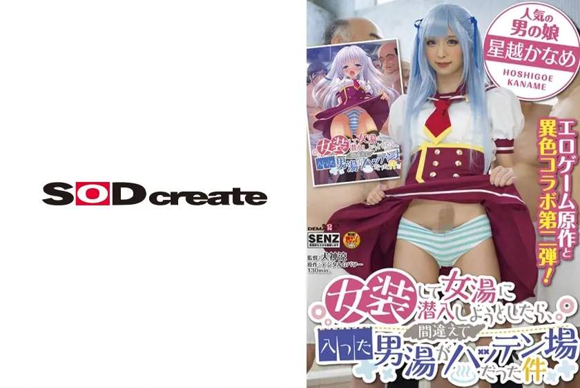 女装をして女湯に潜入しようとしたら、間違えて入った男湯がハッテン場だった件 星越かなめ