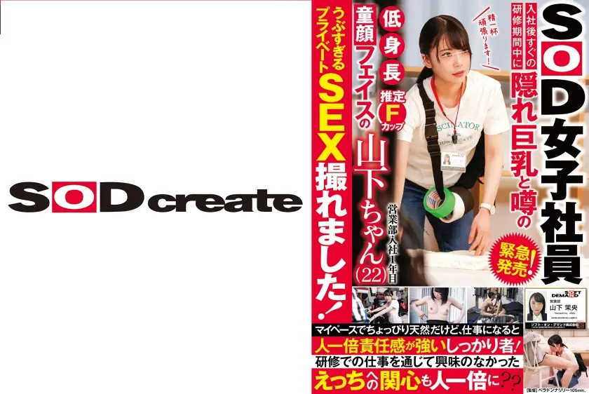 緊急発売！入社後すぐの研修期間中に隠れ巨乳と噂の低身長童顔フェイスの営業部 入社1年目 山下ちゃん(22)うぶすぎるプライベートSEX撮れました！ マイペースでちょっぴり天然だけど、仕事になると人一倍責任感が強いしっかり者！ 研修での仕事を通じて興味のなかったえっちへの関心も人一倍に？？ 山下茉央