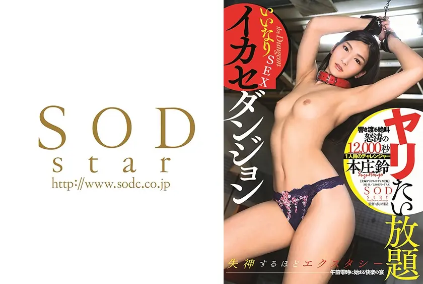 ヤリたい放題いいなりSEXイカセダンジョン 本庄鈴