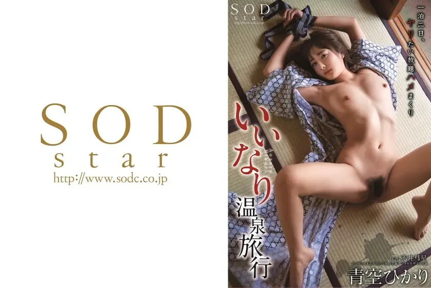 いいなり温泉旅行 青空ひかり