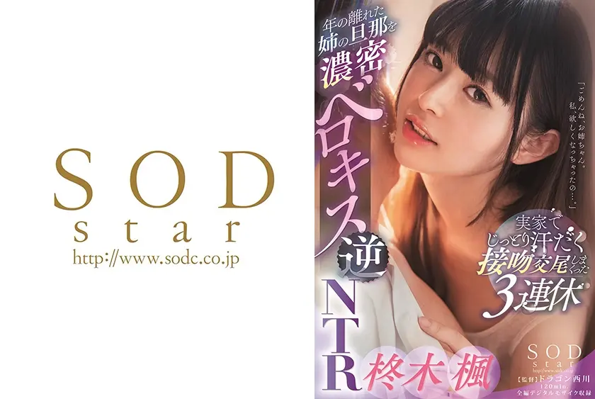 年の離れた姉の旦那を濃密ベロキス逆NTR 実家でじっとり汗だく接吻交尾しまくった3連休 柊木楓