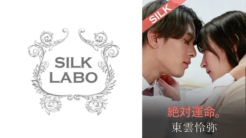 絶対運命。 藤井レイラ