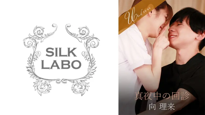 真夜中の回診 倉本すみれ 向理来