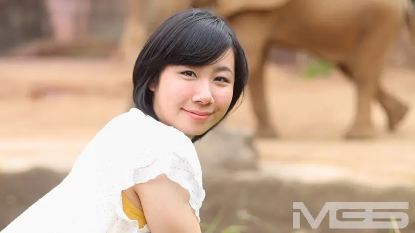 そうだ 旅(どっか)でイこう。 りん